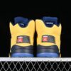 AJ 5 Retro SE Michigan CQ9541-704