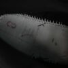 AJ 12 Retro Barons CT8013-010