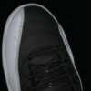 AJ 12 Retro Barons CT8013-010