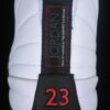 AJ 12 Retro Taxi Flip CT8013-162
