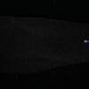 AJ 12 Retro Blueberry CT8013-140 AJ 12 Retro Blueberry CT8013-140