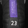 AJ 12 Retro Dark Concord CT8013-005