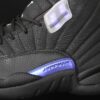 AJ 12 Retro Dark Concord CT8013-005