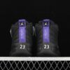 AJ 12 Retro Dark Concord CT8013-005