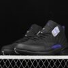 AJ 12 Retro Dark Concord CT8013-005