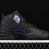 AJ 12 Retro Dark Concord CT8013-005
