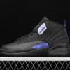 AJ 12 Retro Dark Concord CT8013-005