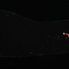 AJ 1 Low ‘Shattered Backboard’ 553558-081