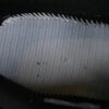 AJ Legacy 312 Low ‘Pale Vanilla’ CD7069-200