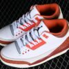 AJ 3 Retro SE Mars Stone DV7028-108