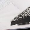 AJ 3 Retro NRG Free Throw Line 923096-101