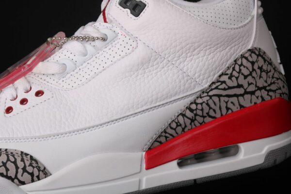 AJ 3 Retro Hall of Fame 136064-116