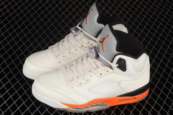 AJ 5 Retro Shattered Backboard DC1060-100