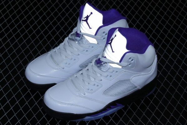 AJ 5 Retro Dark Concord DD0587-141