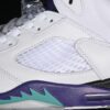 AJ 5 Retro Grape 136027-108