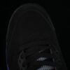 AJ 5 Retro Black Grape 136027-007