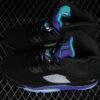 AJ 5 Retro Black Grape 136027-007