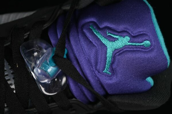 AJ 5 Retro Black Grape 136027-007