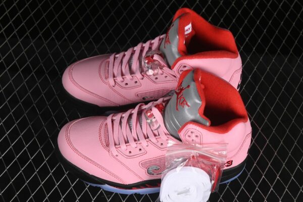 AJ 5 Awake NY Arctic Pink DV4982-600