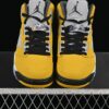 AJ 5 Retro Tokyo T23 IO3372-700