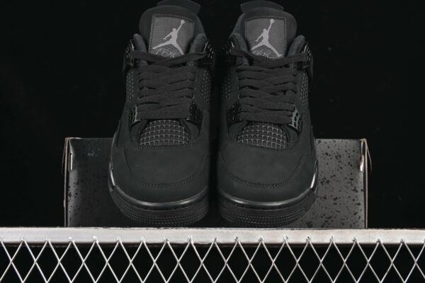 AJ 4 Black Cat FV5029-010