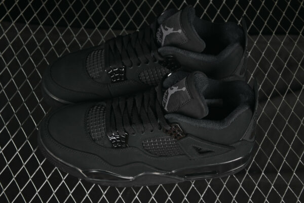 AJ 4 Black Cat FV5029-010