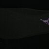 AJ 11 Retro Purple Black CT8012-500