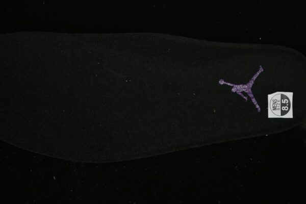 AJ 11 Retro Purple Black CT8012-500