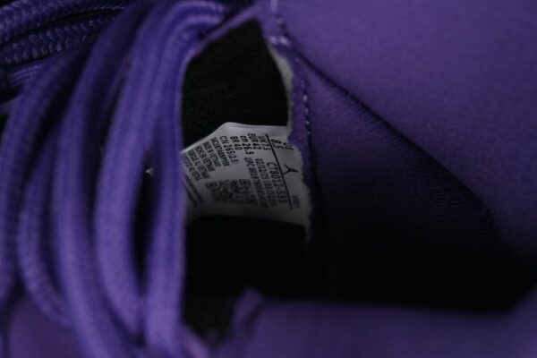 AJ 11 Retro Purple Rain CT8012-555