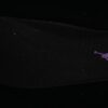 AJ 11 Retro Red Black CT8012-600 AJ 11 Retro Red Black CT8012-600