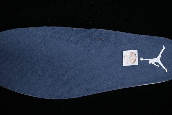 AJ 11 Low Diffused Blue FV5104-104