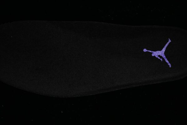 AJ 11 Retro Black Purple CT8812-999