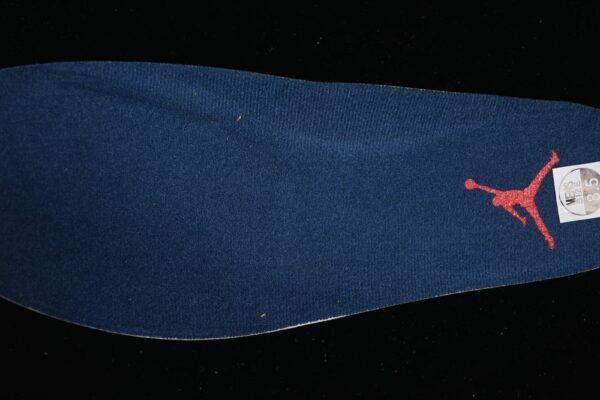 AJ 12 Retro French Blue CT8013-114
