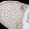 AJ Legacy 312 Mid Flip AV3922-100