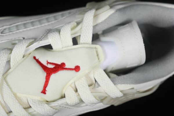AJ Spizike Low Coconut Milk FQ1759-100