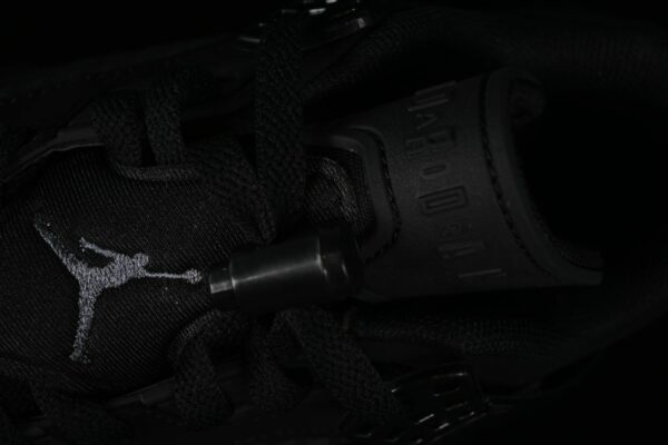AJ Spizike Low Black Cat FQ1759-001