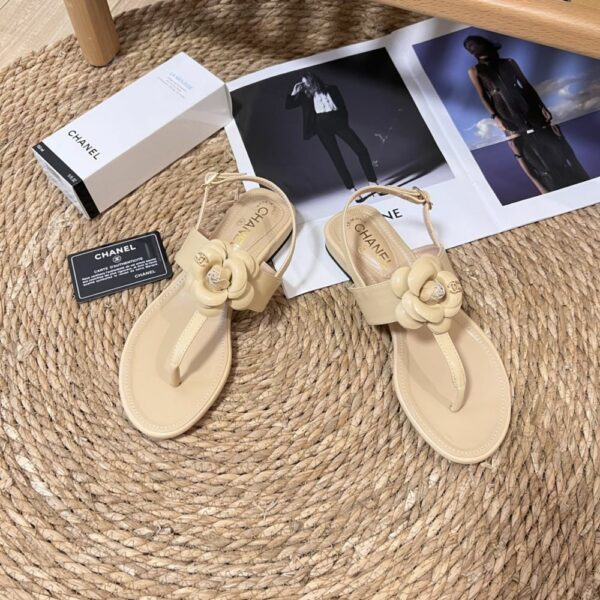 New Arrival Shoes C3263