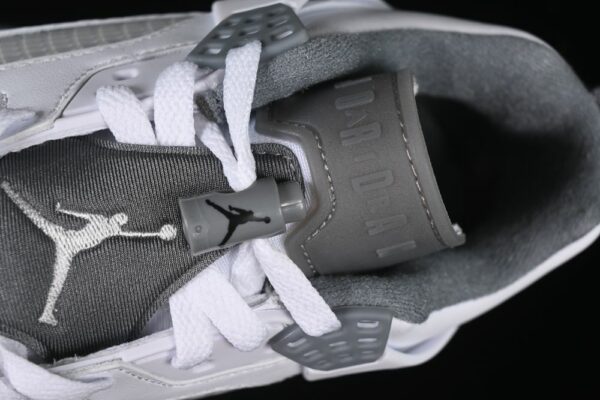 AJ Spizike Low Cool Grey FQ1759-102