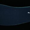 AJ Stadium 90 Ozone Blue FB2269-104