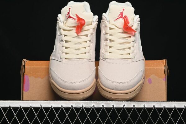 AJ 5 Retro Low Peanut Butter & Jelly HJ5994-106