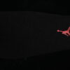 AJ 12 Retro Bloodline CT8013-001