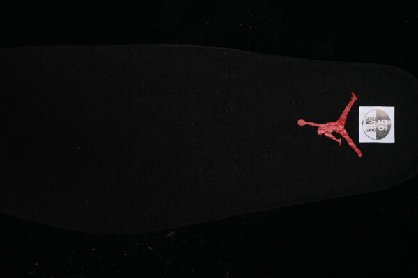 AJ 12 Retro Bloodline CT8013-001