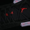 AJ 12 Retro Bloodline CT8013-001