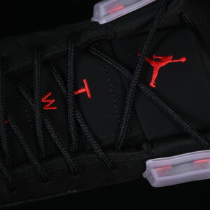 AJ 12 Retro Bloodline CT8013-001 9 242f72ec