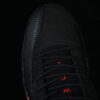 AJ 12 Retro Bloodline CT8013-001