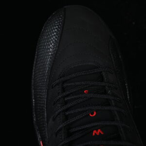 AJ 12 Retro Bloodline CT8013-001 11 59004fab