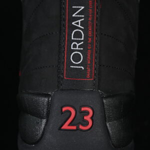 AJ 12 Retro Bloodline CT8013-001 14 d184c378