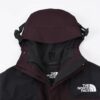TNF Gore-Tex Mountain Jacket G1113.1
