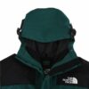 TNF Gore-Tex Mountain Jacket G1113.2