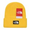 Luxury Designer Beanie Hat – TNF x Gucci Style.1.2